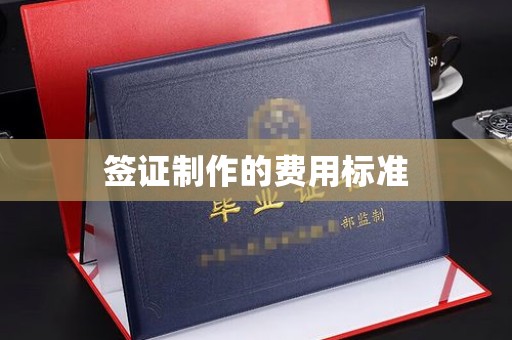 麦盖提签证制作的费用标准